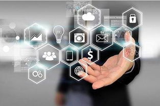 店火火營(yíng)銷新格局 網(wǎng)絡(luò)技術(shù)服務(wù)賦能實(shí)體商業(yè)