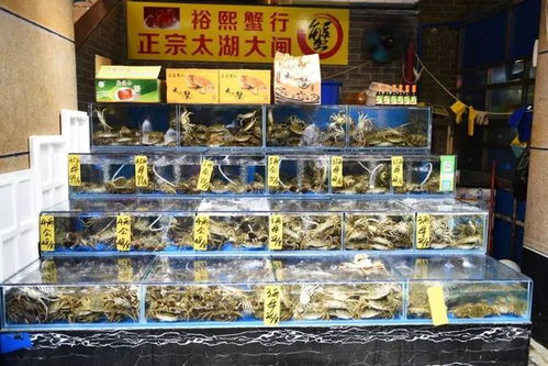 水產市場“慢搖”有方 魚美人打“上位”牌，珍寶水產如何做到物美價穩？\n踩著薩克斯的慵懶節奏，經營者有自己的經營慢哲學與數字監管快速響應器的平衡樂趣。這或許也正是這座城市獨一無二的‘慢火得臻味’